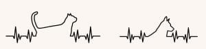 Image of a heartbeat with an outline of a cat and dog interposed into the cardiac rhythm